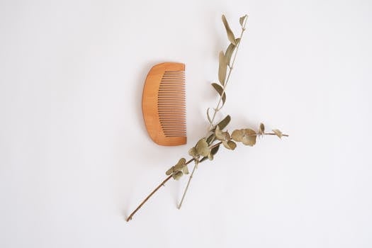 A minimalist still life featuring a wooden comb and a branch on a white background.